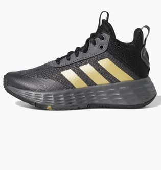 Adidas Ownthegame 2.0 Shoes